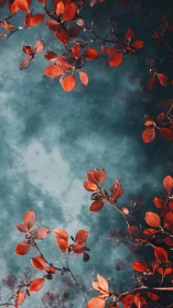 Red foliage branches over teal-toned abstract background.