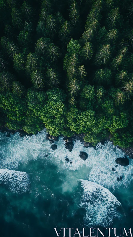 Aerial Coastal Forest Interface: Wave-Shoreline Morphological Study.