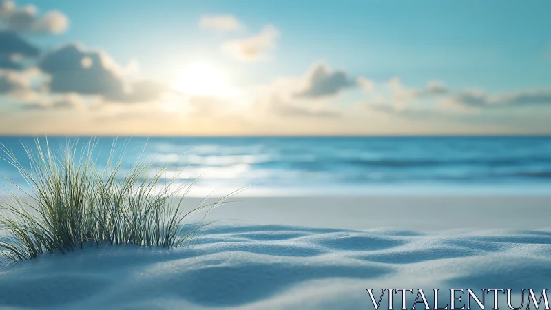 Coastal dune grass on soft sand at calm ocean sunrise.