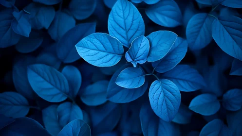 Calm blue leaves glowing softly in a soothing night garden.