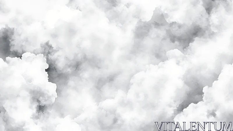 Volumetric cumulus cloud field rendered in soft grayscale tones