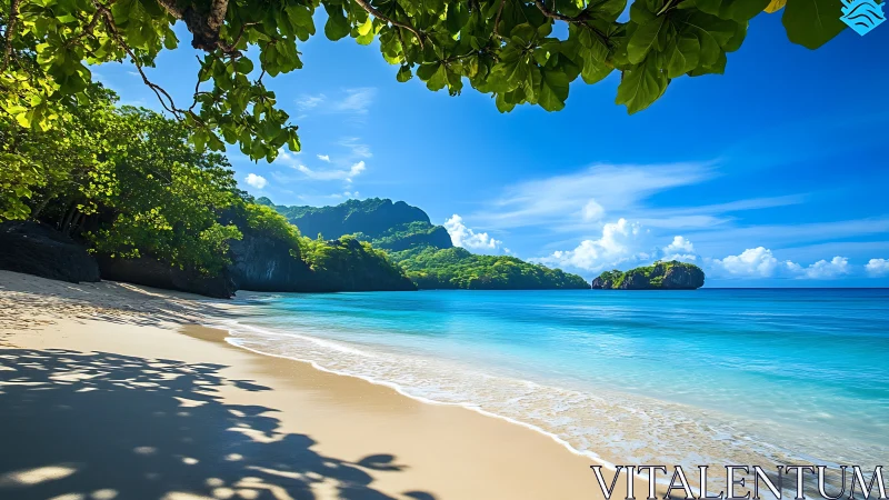 Tropical Beach Paradise. Pristine Sandy Shore with Azure Waters and Lush Canopy.