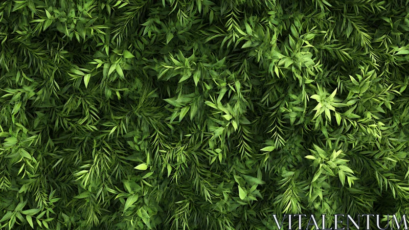 Dense green foliage texture creates immersive botanical field