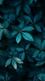 Moody teal foliage forms a tranquil, softly lit pattern.