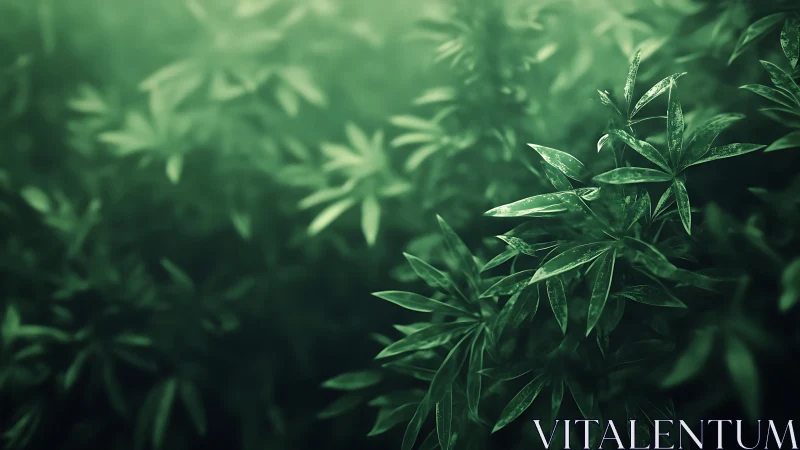 Dense green foliage with soft-focus background depth field.