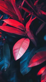 Neon red foliage glows over deep blue jungle background