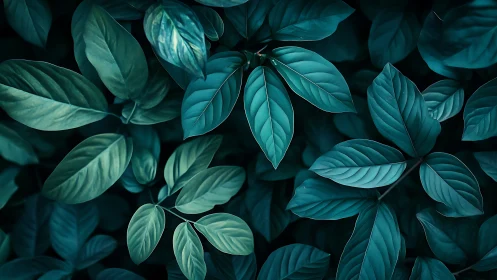 Overhead view of dense teal-toned foliage arrangement.