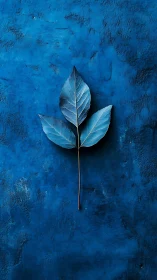 Tri-foliate blue leaf specimen on textured ultramarine surface