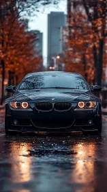 Sleek BMW coupe glows on rain-soaked autumn city street.