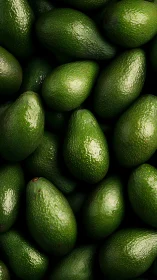 Glistening whole avocados arranged in dense organic pattern.