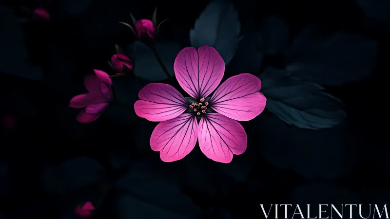 Neon Petals Dance Against Obsidian Night