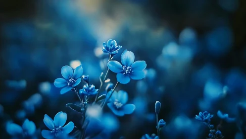 Blue Forget-Me-Not Flowers with Shallow Depth of Field Bokeh