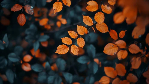 Autumn leaves glow over deep teal forest blur background.