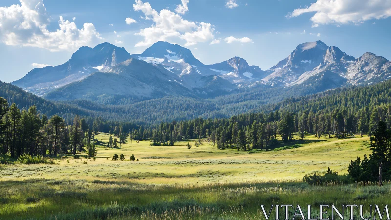 Alpine meadow under stratified conifer forest and granite peaks