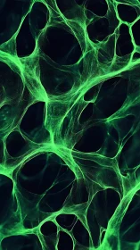 Green filament network forms layered translucent mesh structure