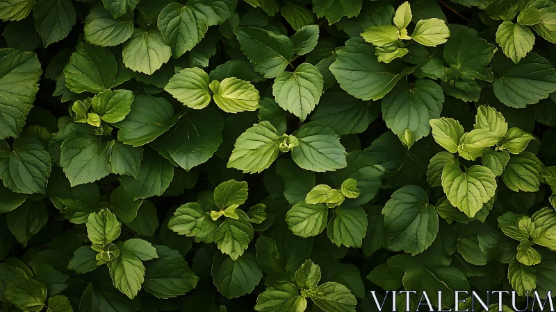 Fresh green leaves create a calming layer of natural comfort