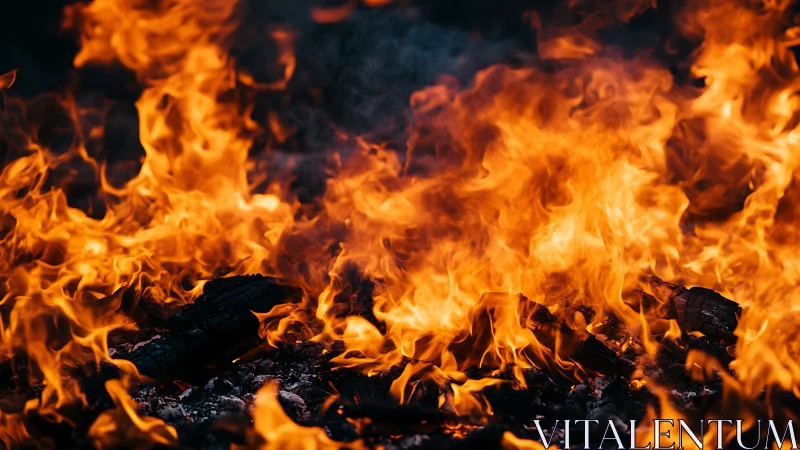 Active combustion fire displaying dynamic flame propagation and radiant heat emission