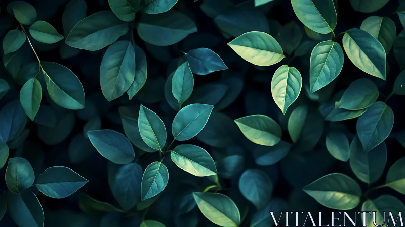 Moody green foliage glows against deep shadowed background.