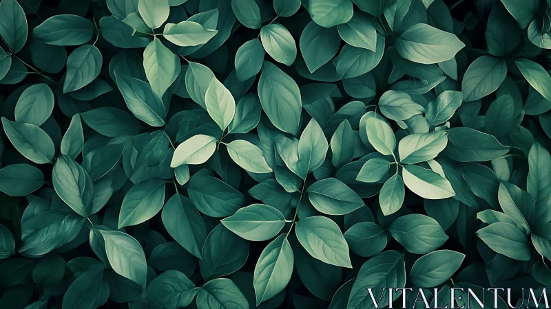 Lush green leaves create a calming natural foliage backdrop