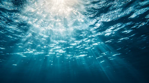 Sunlight penetrates ocean surface forming underwater beams