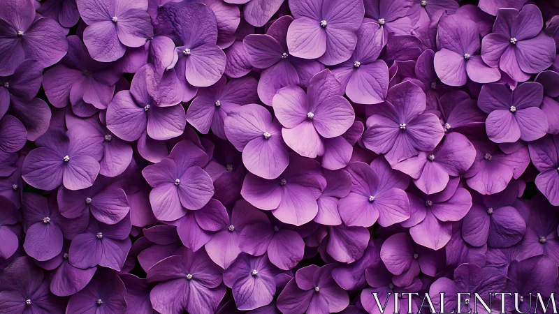 Dense cluster of purple hydrangea flowers with textured petals and visible stamens.