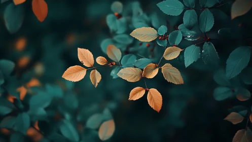 Contrasting yellow and teal leaves on softly blurred foliage.