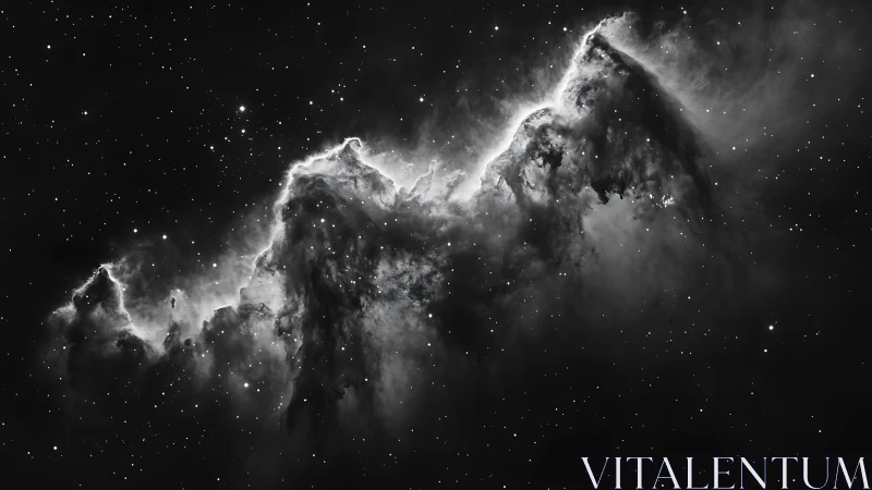 Monochrome emission nebula structure is captured in detail