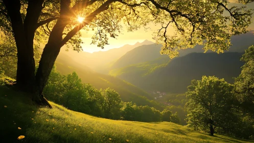 Golden hour sunlight penetrates verdant mountain valley canopy