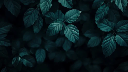Moonlit forest leaves quietly rehearse their midnight glow
