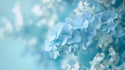 Delicate Blue Hydrangea Petals in Soft Focus Botanical Study.