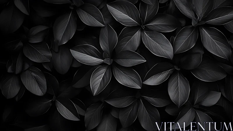 Moonlit leaves compose a quiet monochrome forest chorus