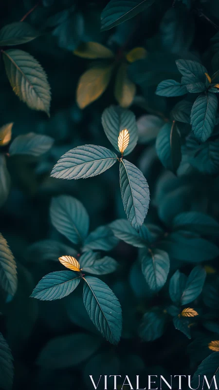 Golden-tipped leaves emerging through deep teal foliage.