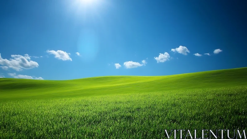 Sunlit grassland slope under clear sky with high dynamic contrast