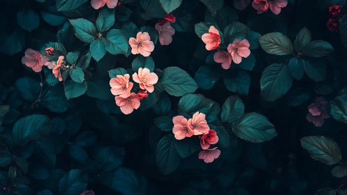 Deep teal foliage frames coral blossoms in moody botanical composition.