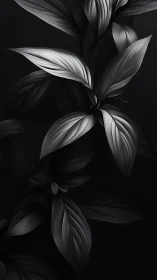 Monochrome foliage arrangement on dark background surface.