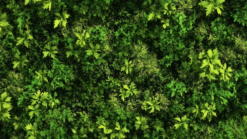 Verdant Ground Cover Matrix: Compositional Analysis of Herbaceous Flora.