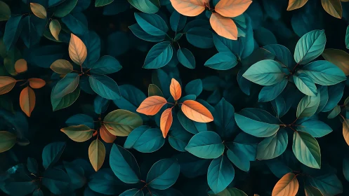 Orange and teal foliage cluster shows contrasted leaf coloration