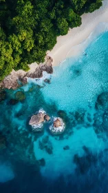 Coastal Paradise: Where Emerald Jungle Kisses Turquoise Waves.