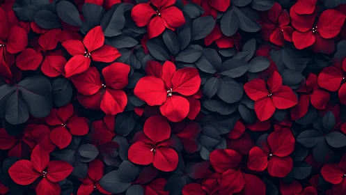 Chromatic Botanical Composition: Red Petals Against Obsidian Foliage.