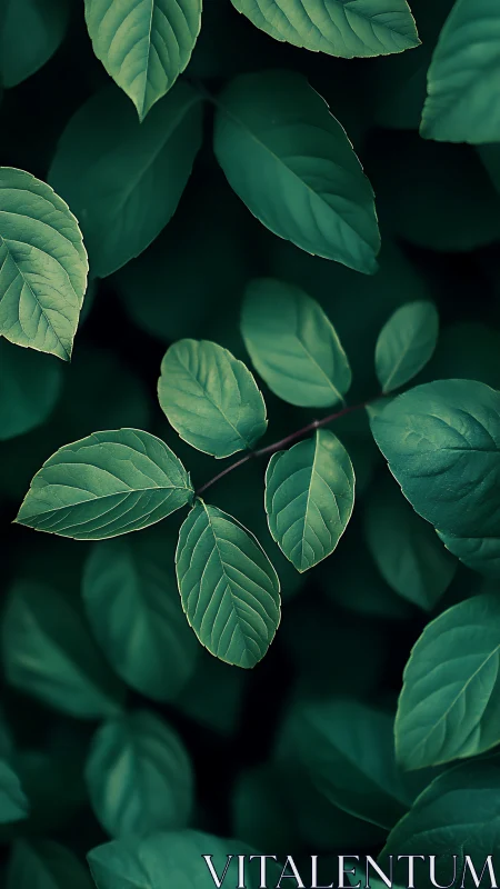 Moody green foliage study with layered oval leaves.