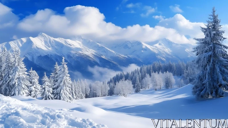 Snow-laden alpine forest beneath bright winter mountains.