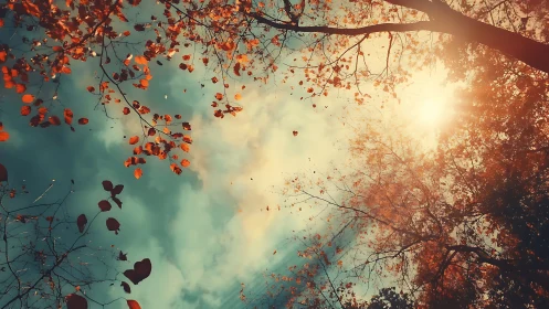 Autumn tree branches and leaves under golden sunlight, dreamy style.