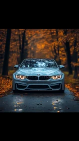 Silver coupe stalks a glowing autumn tunnel of wet leaves