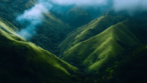 Fog-layered emerald ridges form steep, parallel valley systems