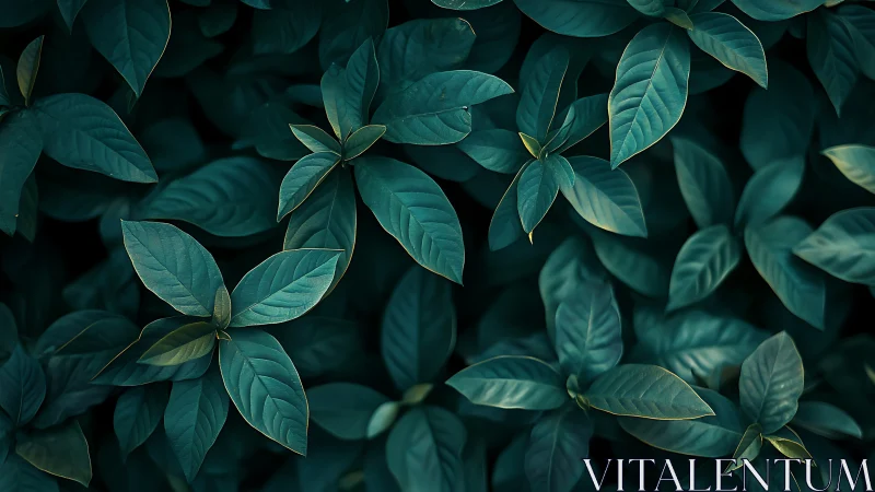 Dark green foliage pattern with overlapping leaves. Period.