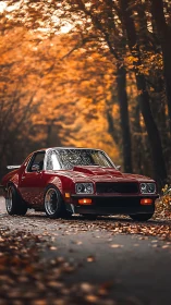 Autumn woodland portrait of classic red coupe, low-angle frame.
