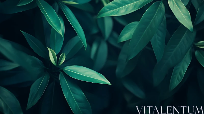 Low-key botanical study of elongated glossy foliage layers.