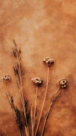 Dried Botanical Stems Against Warm Terracotta Background