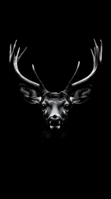 Regal stag portrait glows softly against deep black night