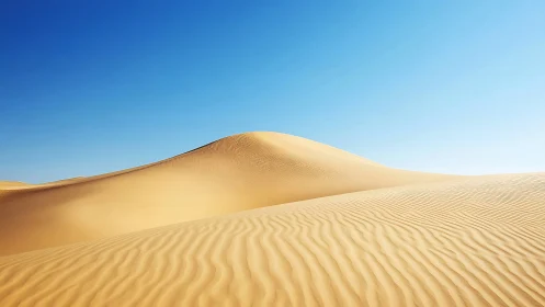 Golden desert dunes rise beneath a clear, vivid blue sky.